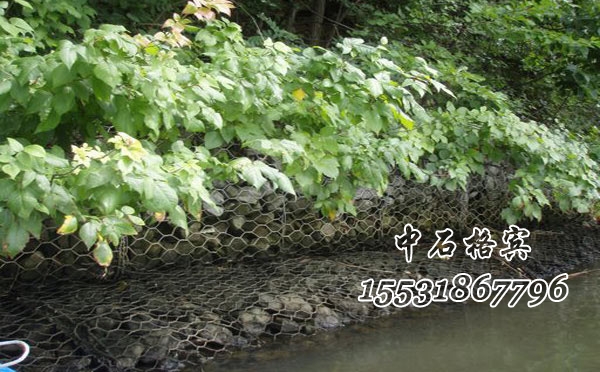 生態(tài)格賓網(wǎng) 生態(tài)格賓網(wǎng)