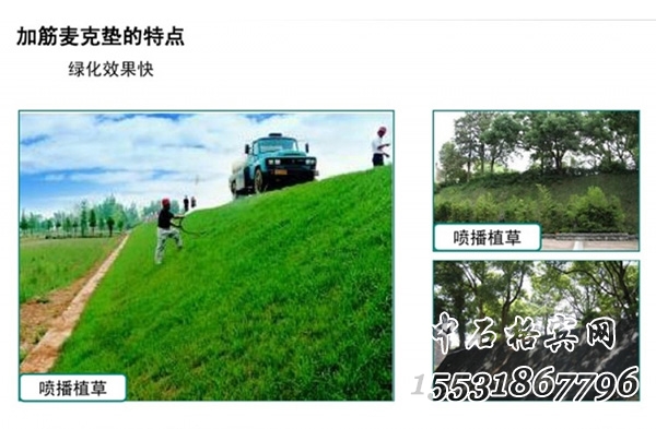 鍍高爾凡加筋麥克墊 鍍高爾凡加筋麥克墊