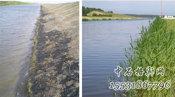 加筋麥克墊護坡 加筋麥克墊護坡