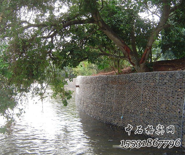 鍍高爾凡格賓網.jpg 鍍高爾凡格賓網.jpg