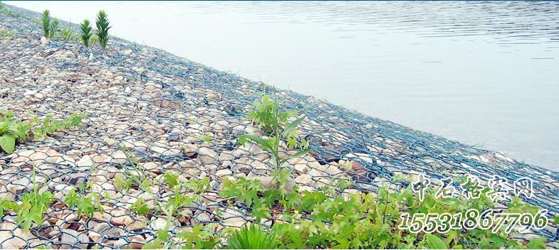 護(hù)坡綠濱墊 護(hù)坡綠濱墊