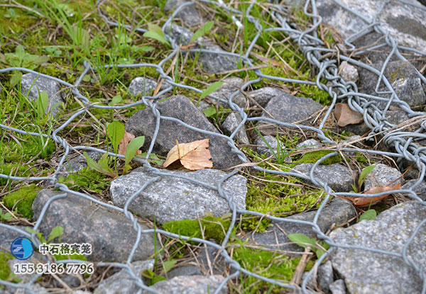 鍍鋅雷諾護(hù)墊 鍍鋅雷諾護(hù)墊